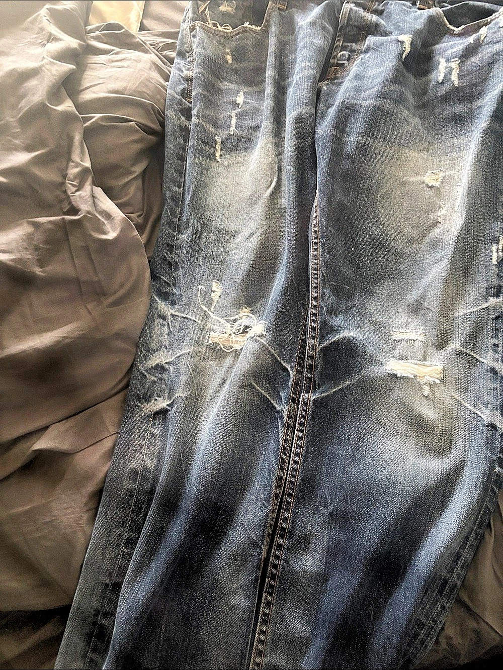 Distressed Skinny Jeans in Blue